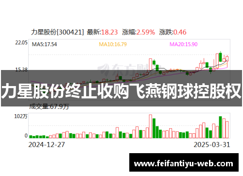 力星股份终止收购飞燕钢球控股权